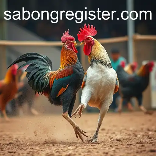 The Rise of Online Sabong Gaming