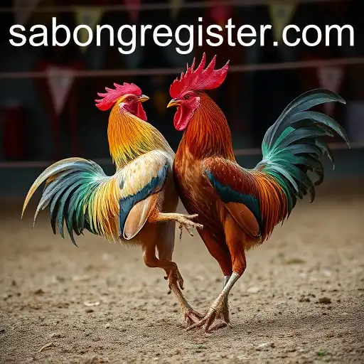 The Rise of Sabong in Online Gaming